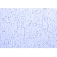 thumbnail image 1 of Ahgly Company Indoor Rectangle Solid Blue Modern Area Rugs, 2' x 5', 1 of 4