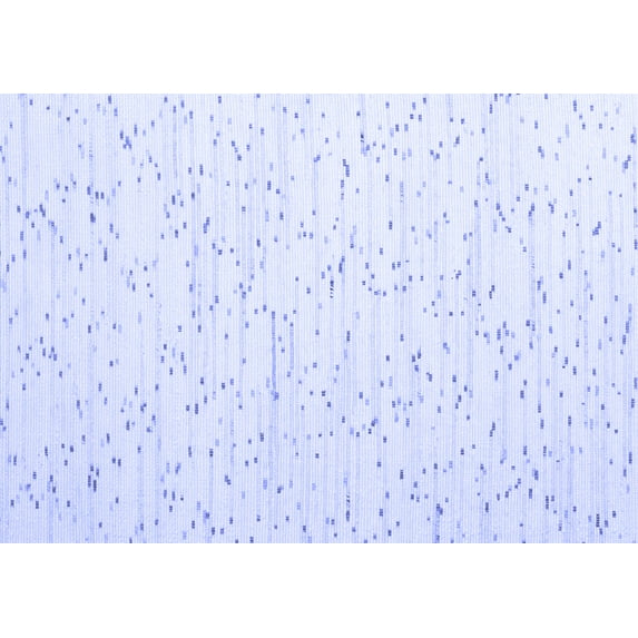 Ahgly Company Indoor Rectangle Solid Blue Modern Area Rugs, 2' x 5'