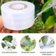 thumbnail image 4 of CHAO Cinta elástica para injertos, 3 uds., 200m x 3cm, cinta elástica biodegradable, película de injerto autoadhesiva, restauración de plantas, vivero de árboles frutales, 4 of 5
