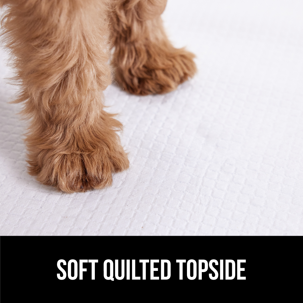 Gorilla Grip Disposable Puppy Pads, 150 Count, 22x22 In photo 8