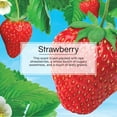 thumbnail image 4 of Little Trees Air Freshener Vent Wrap Strawberry Fragrance 4-Pack, 4 of 9