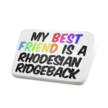 Porcelein Pin My best Friend a Rhodesian Ridgeback Dog from Zimbabwe Lapel Badge – (Best Food For Rhodesian Ridgeback)