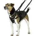 thumbnail image 2 of Halti No Pull Harness for Dogs, 2 of 5