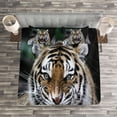 thumbnail image 3 of Ambesonne African Quilted Bedspread Set 3 Pcs, Roaring Tiger Wildlife, King Size, Multicolor, 3 of 3