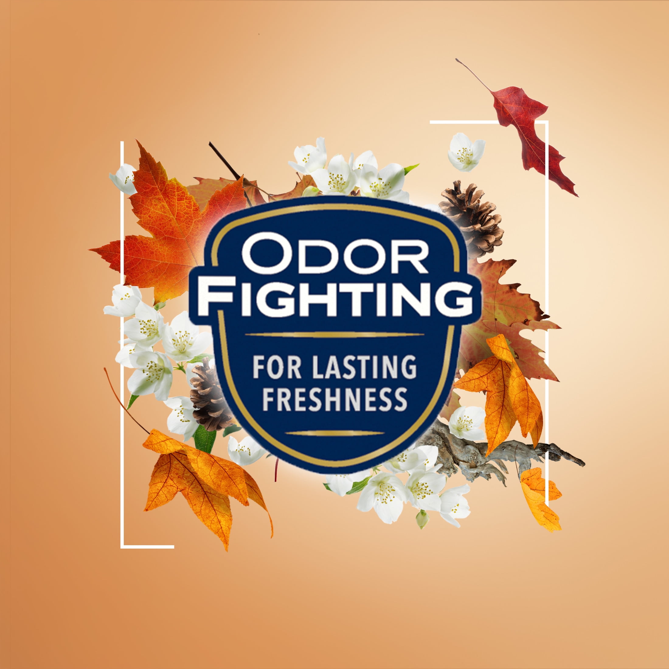 Glade Automatic Spray Air Feshener Refill, Christmas Holiday Cashmere Woods, 2 Refills, 6.2 oz, 2 Count