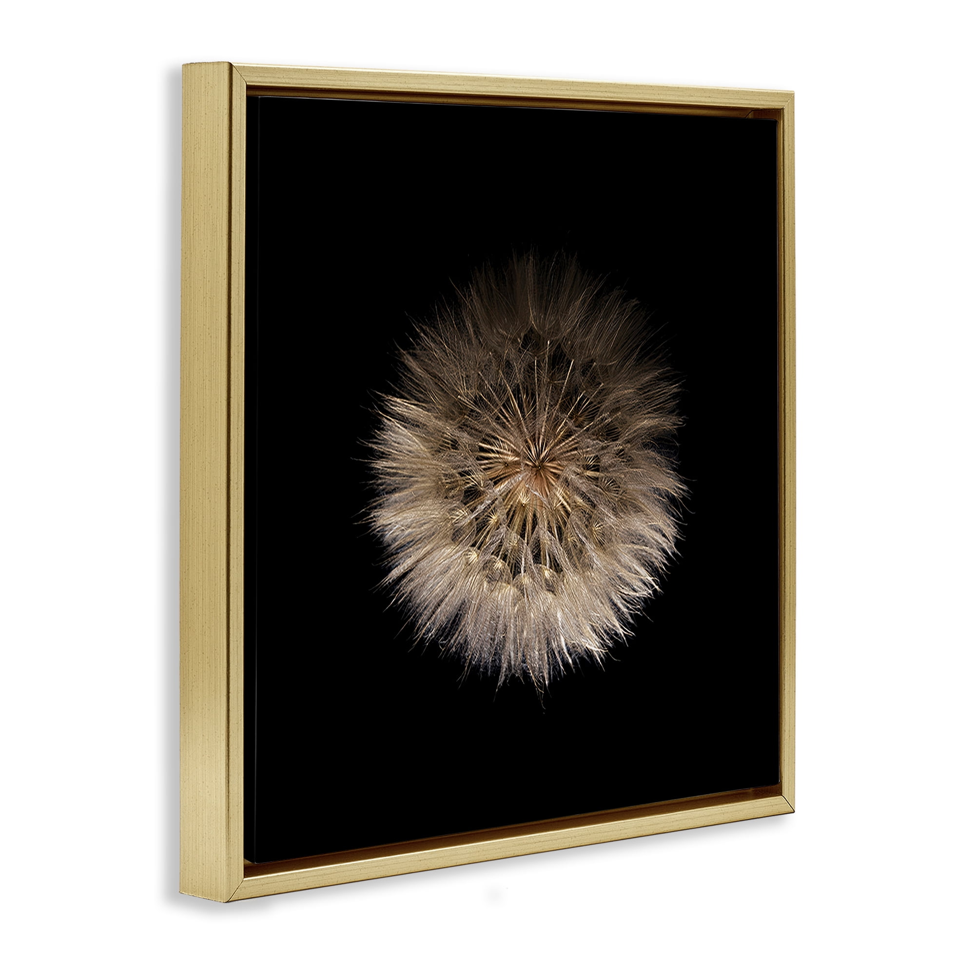 Stupell Industries Wispy Dandelion on Black Gold Framed Floater Canvas Wall Art, design by Beth Adoette