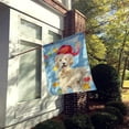 thumbnail image 2 of Carolines Treasures CK2478CHF Christmas Lights Goldendoodle Flag Canvas House Size  Large multicolor, 2 of 4