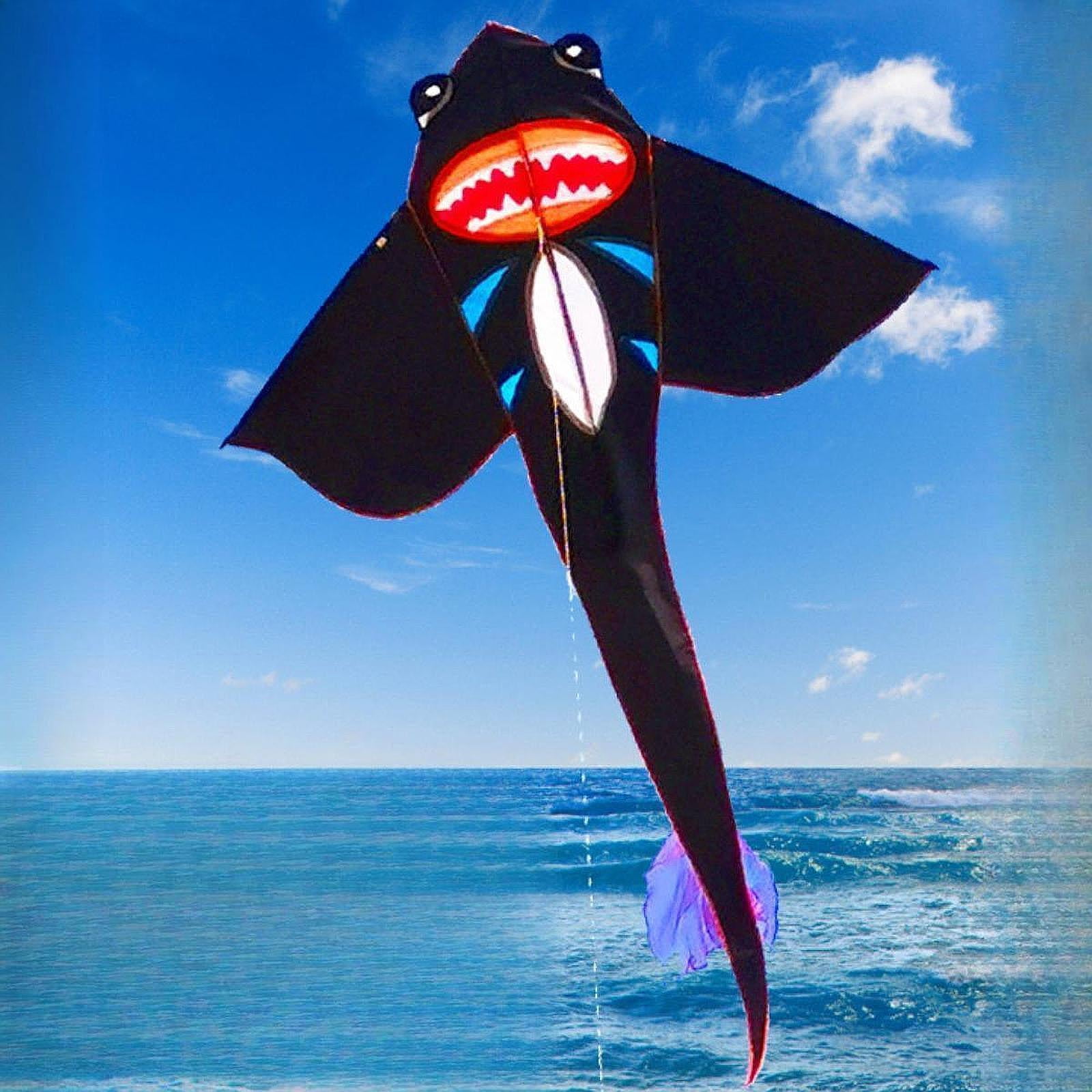 Baoblaze Big Kite Sturdy Decorative Portable Creative Kite for Activities Outdoor Sea