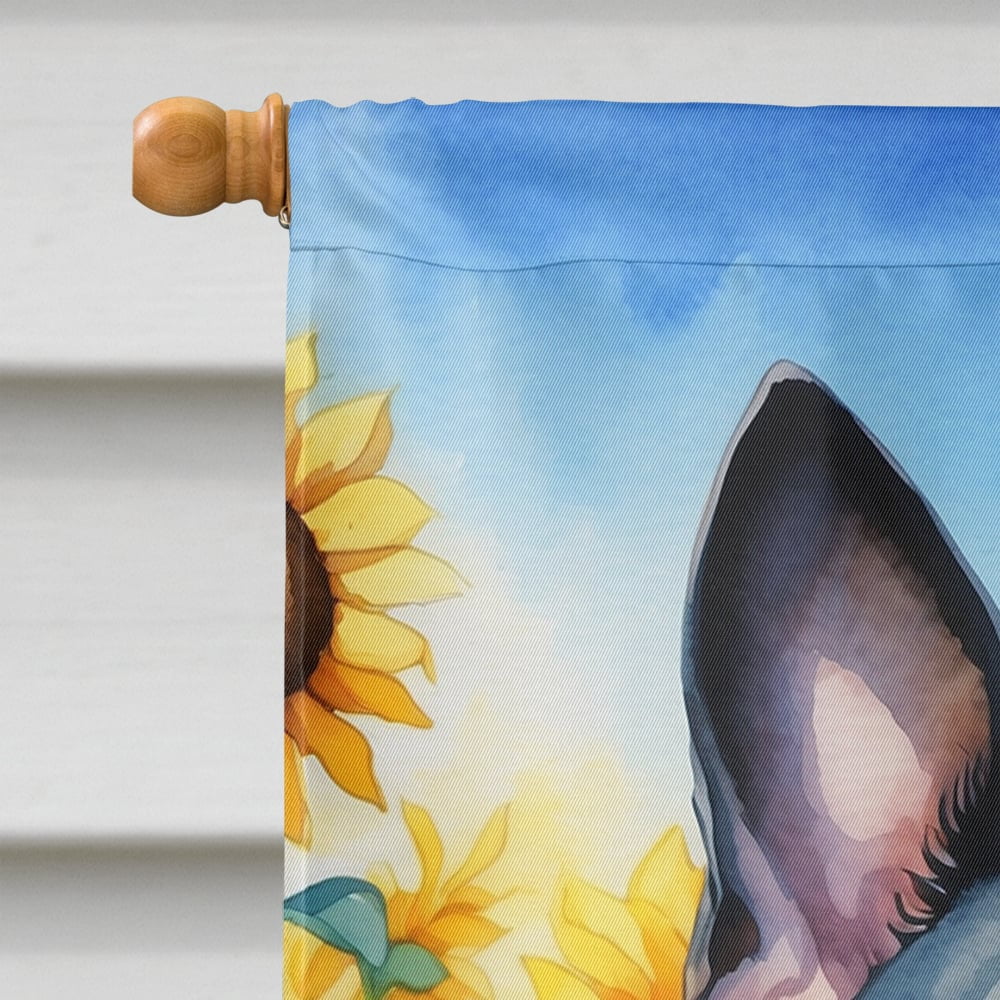 Boston Terrier in Sunflowers House Flag 28 in x 40 in