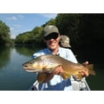 thumbnail image 4 of Leland Leurres Trout Magnet Crank Bait, Hawk Trout, 2,5-Inch, 4 of 4