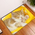 thumbnail image 4 of Cute pets Animal Pattern Anti Slip Suede Carpet Door Mat Outdoor Kitchen Living Room Floor Mat Carpet Home Decoration-week, 4 of 4
