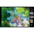 thumbnail image 3 of Buffalo Games Vivid Collection - Octopus Vulgaris 300 Pieces Jigsaw Puzzle, 3 of 6