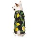 thumbnail image 1 of Balery Lemon Fruits Flowers Leaves Sudadera con Capucha para Perros Pequeños – Ropa para Mascotas, Disfraz para Perros y Gatos, Ideal para Fiestas y Cosplay-Medium, 1 of 7