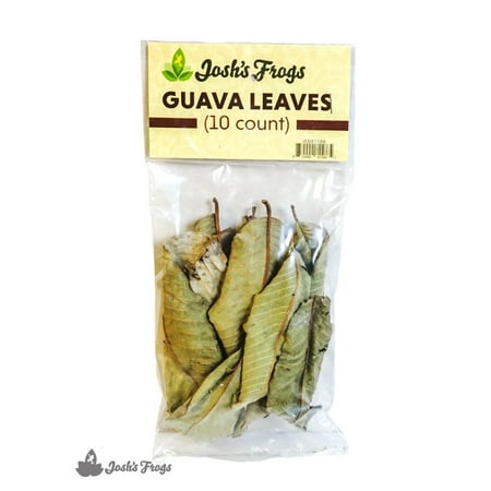 Josh's Frogs Guava Leaves Leaf Litter (10 Count)