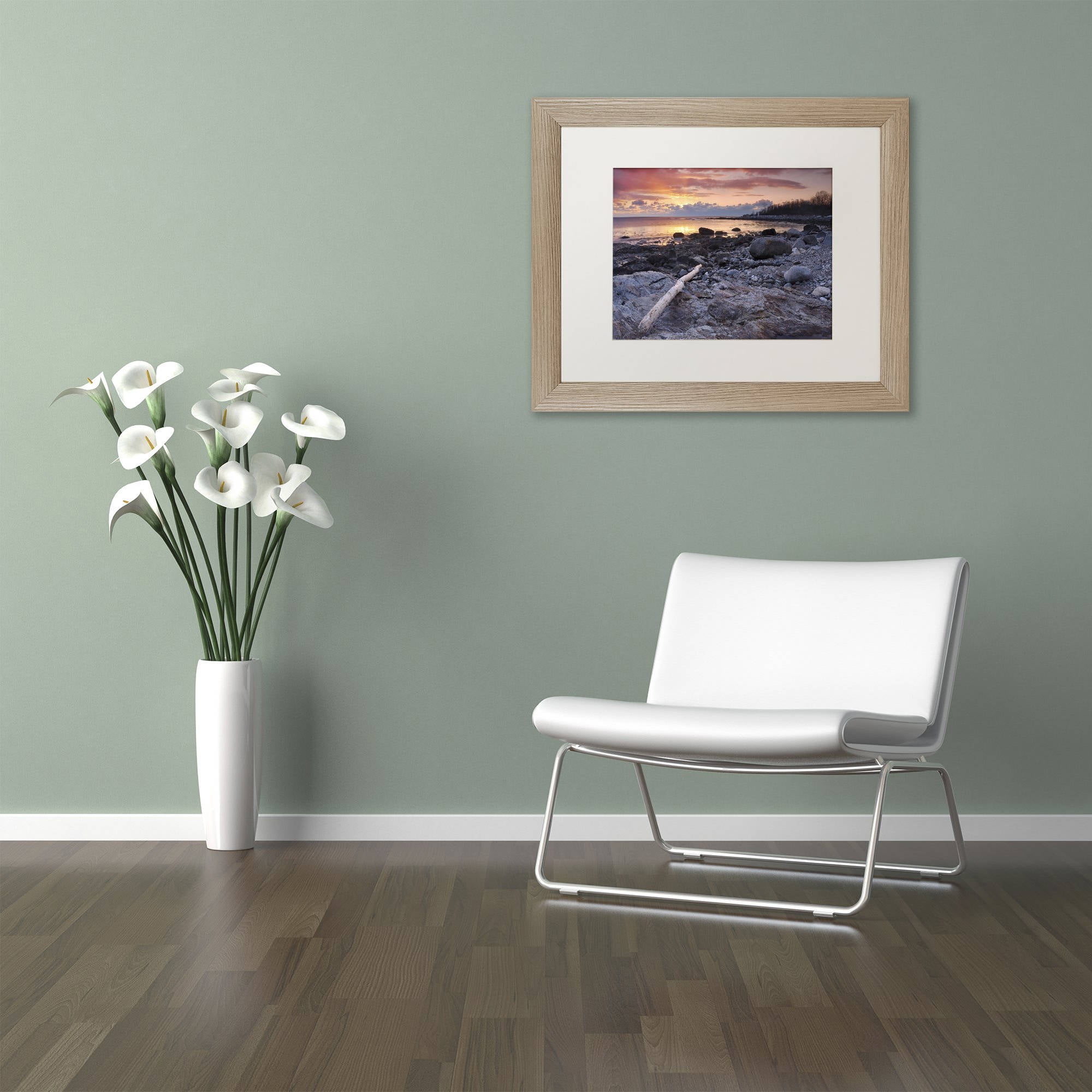 Trademark Fine Art "Pointer To The Sun" Canvas Art by Michael Blanchette Photography White Matte, Birch Frame