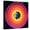 Canvas, variant on Art.com Barry Harris - Bull's Eye! Art Print, 24" x 24"