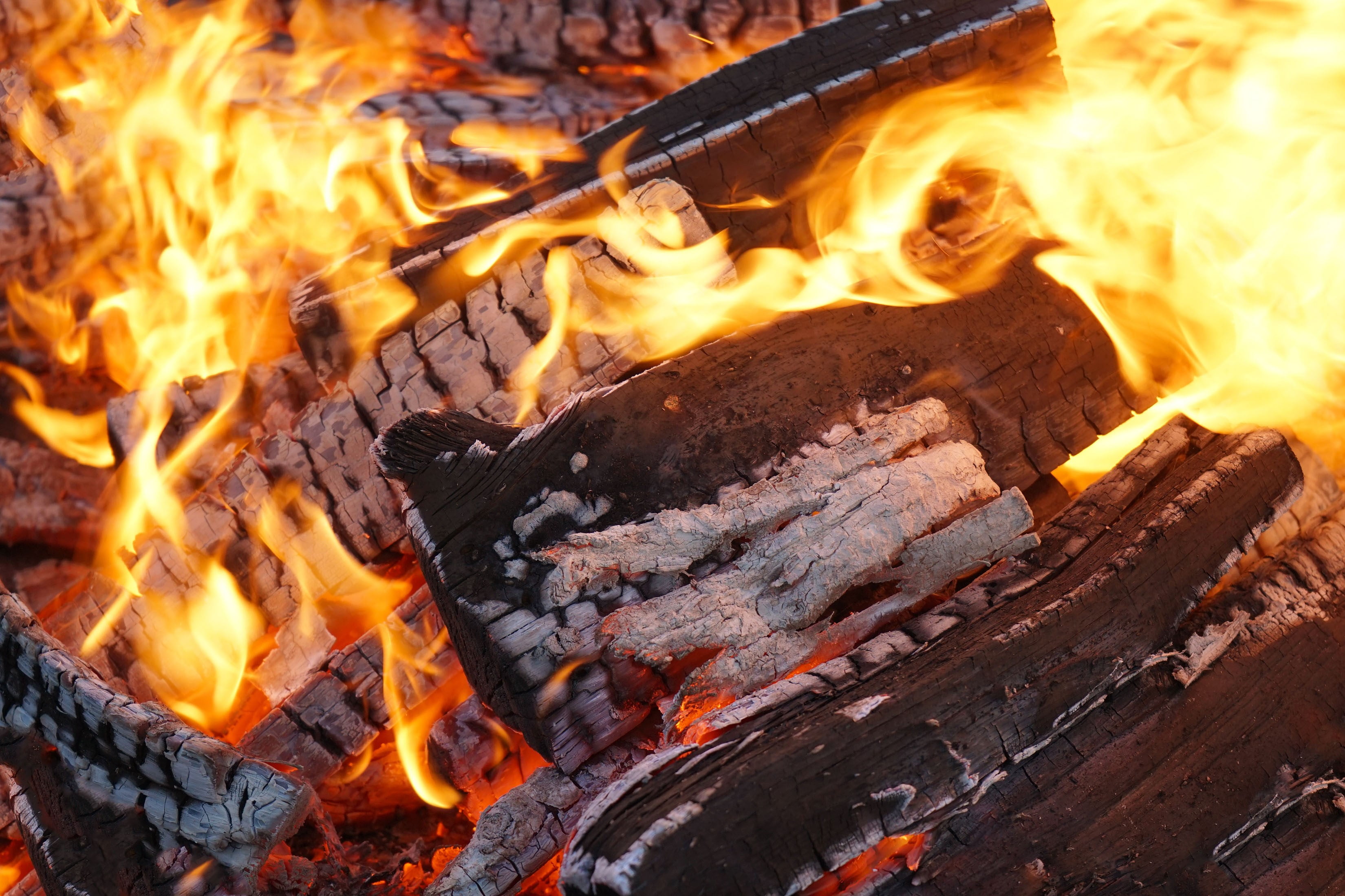 Expert Grill 1.5 cubic feet Hickory Wood Mini Smoking Logs Expert Grill 1.5 cubic feet Hickory Wood Mini Smoking Logs