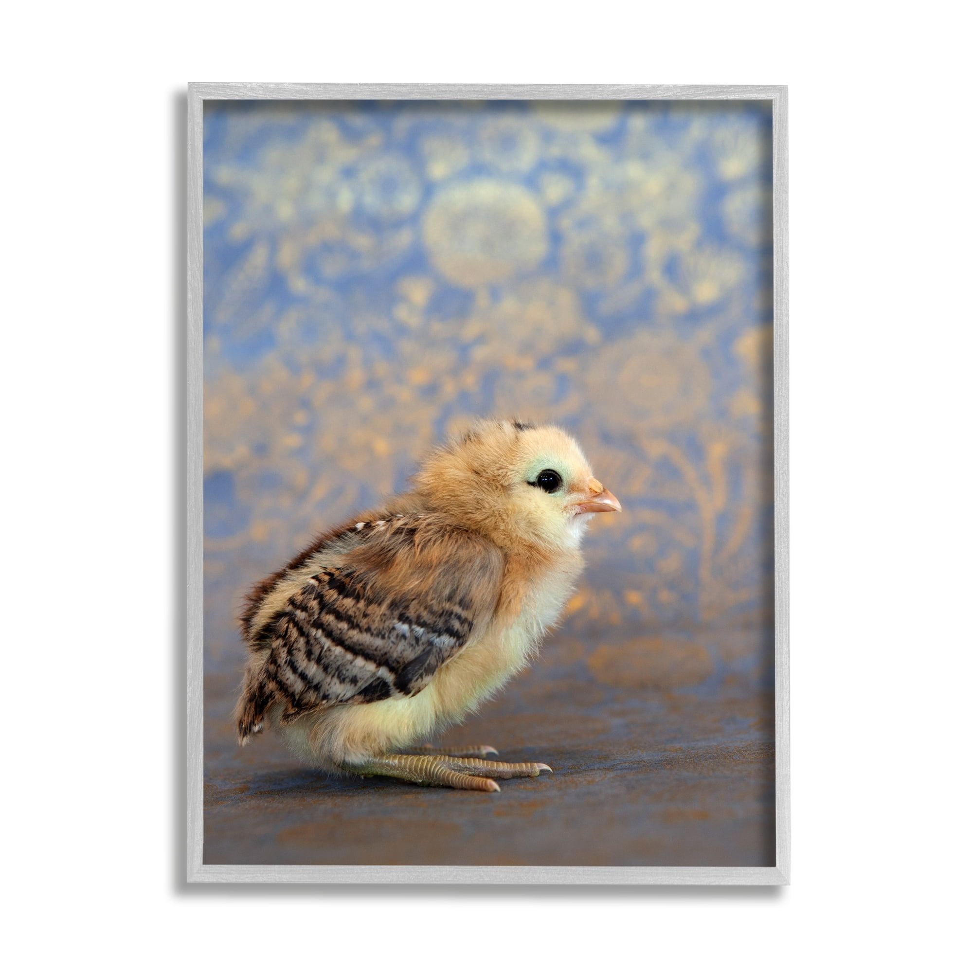 Stupell Industries Tiny Baby Bird Chick Patterned Botanical Backdrop Photograph Gray Framed Art Print Wall Art, Design by Tania Soderman