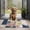 Pioneer Flower Floral-1, variant on Pioneer Flower Floral Print Pattern Door Rugs,Washable Non Slip Door Mats Indoor,Decorative Door Mats,Entry Mat Indoor for Entrance,Bedroom,Kitchen,Bathroom,17"x30"