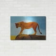 thumbnail image 3 of Luxe Metal Art 'Lioness On A Rock 1' by Ata Alishahi, Metal Wall Art, 36"x24", 3 of 9