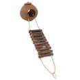 thumbnail image 4 of Nido de coco Bling Bling Casa de coco natural, 4 of 12