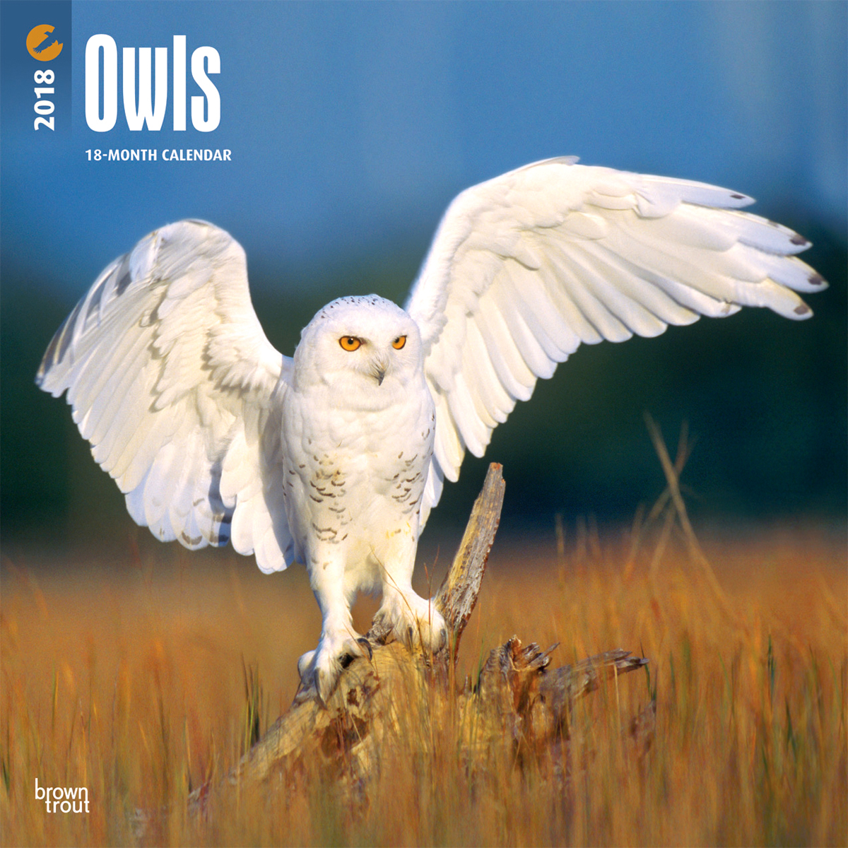 2018 Owls Wall Calendar Walmart 2018 Owls Wall Calendar Walmart