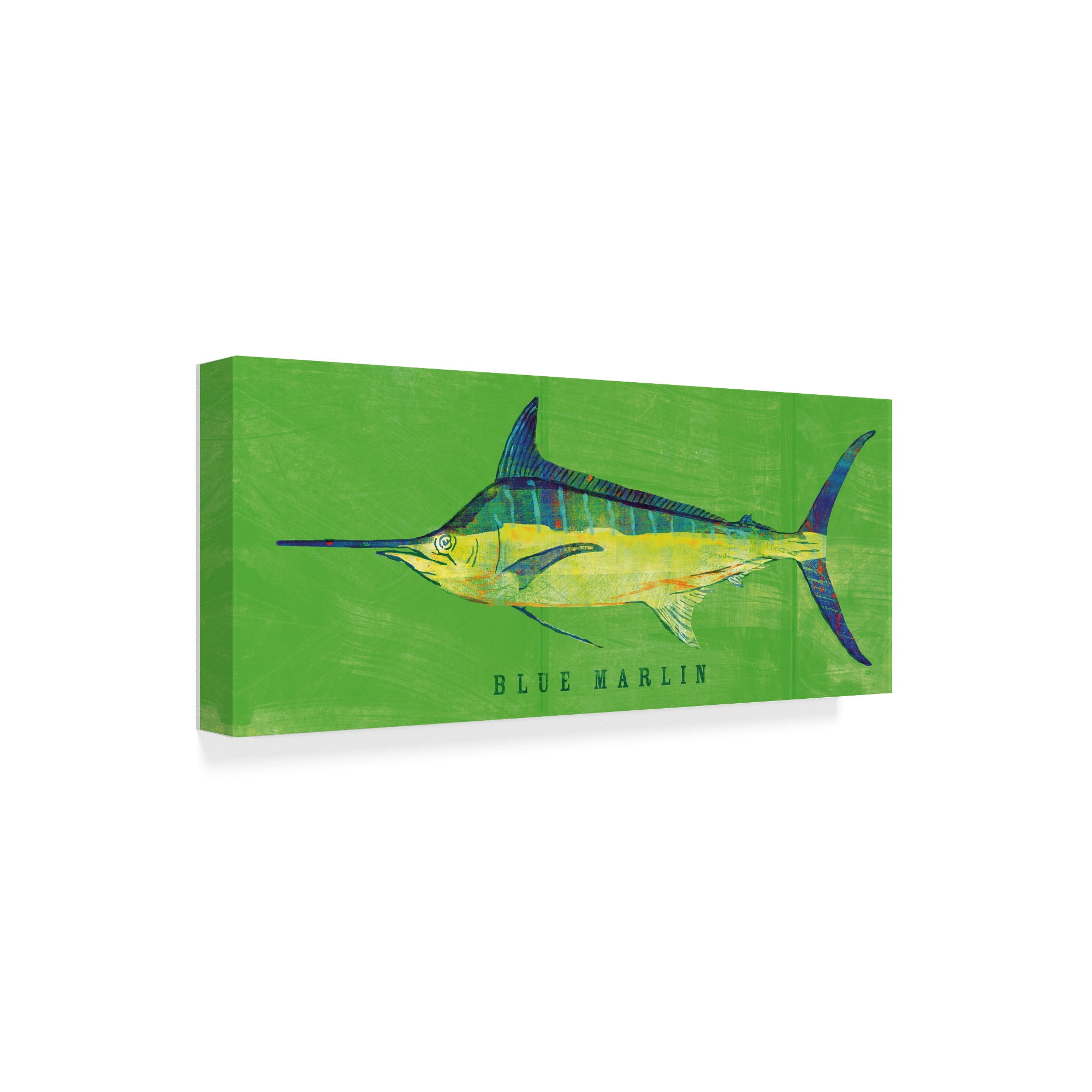 Trademark Fine Art 'Blue Marlin' Canvas Art by John W. Golden