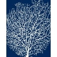thumbnail image 2 of Berg, Sabine 15x18 White Modern Wood Framed Museum Art Print Titled - Navy Coral II, 2 of 4