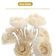 thumbnail image 4 of 8PCS Aromatherapy Rattan Sticks Accesorios Aromaterapia Flor Rattans, 4 of 5
