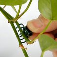 thumbnail image 4 of Dsseng Plant Support Clips for Garden Ulable Orchid Stem and Flower Spike  100-Pieces, 4 of 9