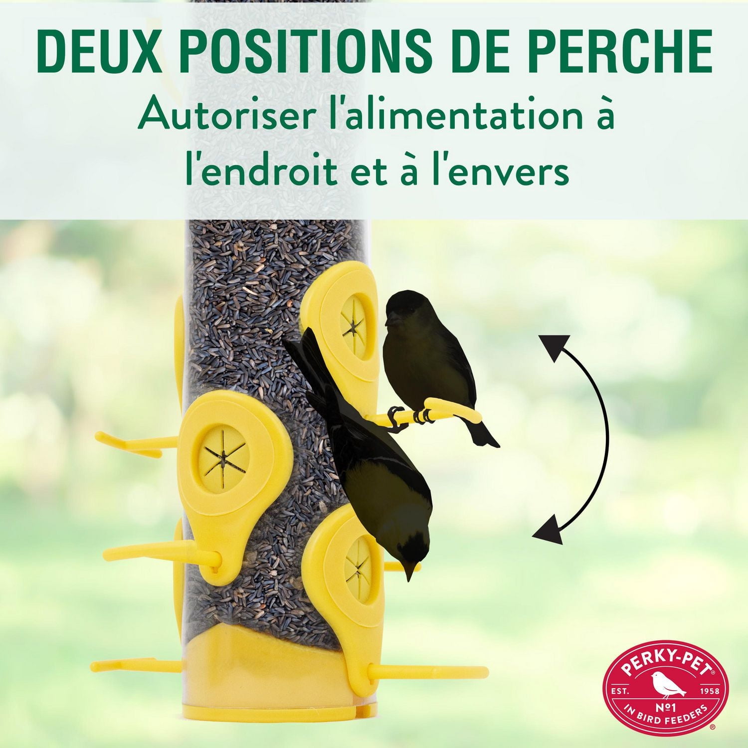 Mangeoire à pinsons de Perky-Pet Peut contenir jusqu'à 1,5 lb de graines de Nyjer