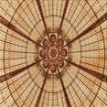 thumbnail image 1 of Ahgly Company Machine Washable Indoor Square Transitional Mahogany Brown Area Rugs, 4' Square, 1 of 7