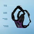 thumbnail image 2 of Voyager Step-In Lock Cat Harness - Adjustable Step-In Vest Harness for Small and Large Cats by Best Pet Supplies, 2 of 9