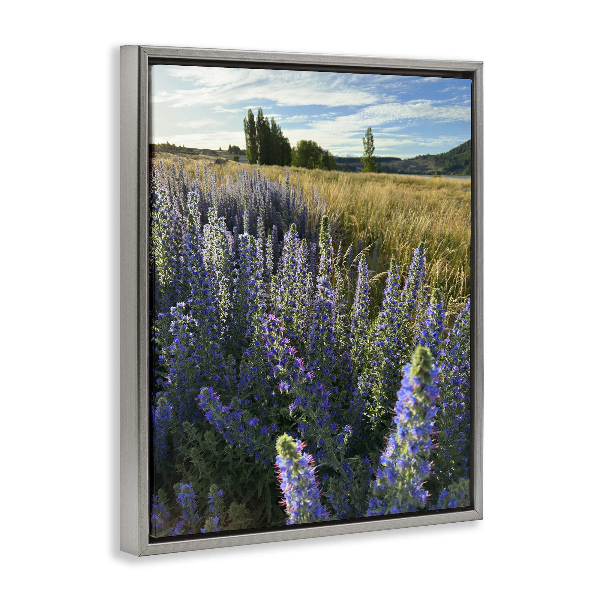 Stupell Industries Lavender Fields Landscape Landscape Photography Gray Floater Framed Art Print Wall Art, 25 x 31