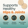 thumbnail image 5 of VetriScience Extra Strength Hip & Joint Tablets for Dogs, Chicken, 120ct, 5 of 11