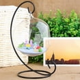 thumbnail image 4 of Planters Glass Vase, Ball Shape Design Hanging Glass Vase, Balcony For Indoor, 4 of 8