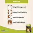 thumbnail image 4 of AvoDerm Natural Advanced Healthy Weight Dry Dog Food 4 lb, 4 of 7