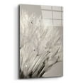 thumbnail image 2 of Epic Art 'Dandelion Jewels I' by Lori Deiter, Acrylic Glass Wall Art, 16"x24", 2 of 10