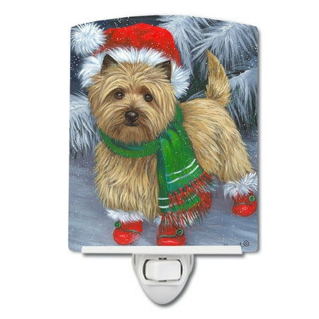 

Caroline s Treasures PPP3058CNL Cairn Terrier Christmas Red Boots Ceramic Night Light 6x4x3 multicolor