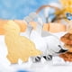 thumbnail image 1 of Cortador de fondant BuyWeek juego de 11 cortadores de dinosaurios de acero inoxidable, 1 of 8