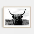 thumbnail image 2 of Black And White Highland Majesty - Scotland United Kingdom Photography Highland Cow Black and White Animal Nature Rustic Wildlife Rural Unframed Wall Art Print 5 x 7 inches, 2 of 7