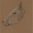 thumbnail image 3 of Bernard Willem Wierink 20x20 Black Modern Framed Museum Art Print Titled - Zebu (1866), 3 of 5