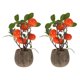 thumbnail image 1 of 2 piezas de plantas artificiales en maceta para escritorio, decorativas, para árbol frutal, para escritorio, decoración de macetas, 1 of 6