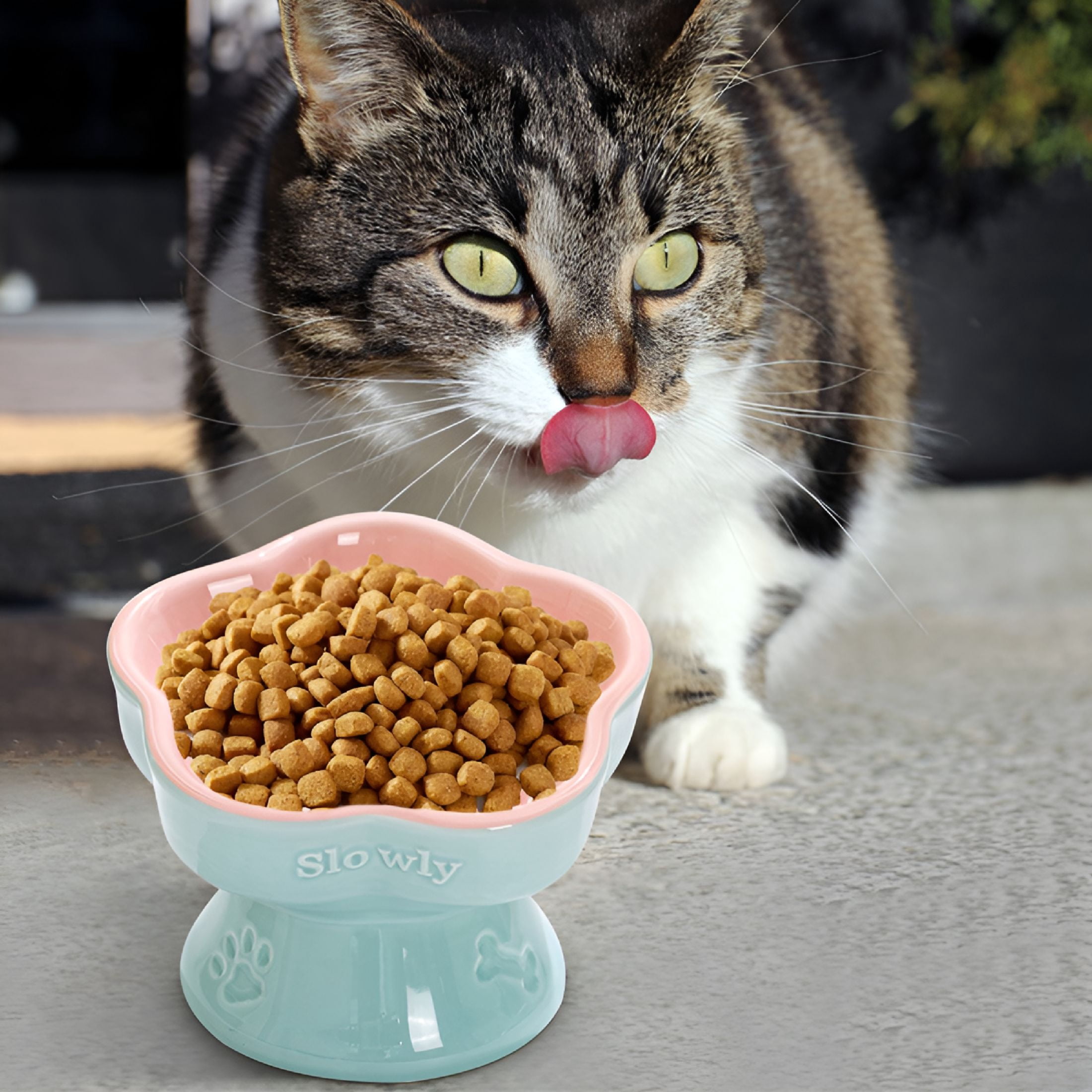 ACDANC 2026 New Slow Feeder Cats Bowl -Cat Slow Feeder Ceramic,Reduces Overeating & Gulping,Easy Clean,Food Grade Material,Versatile Use for Cats and Small Dogs