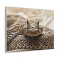 thumbnail image 2 of Funny Viper Silly Viper Scene Outside Wall Art Ready to Hang Unframed, 2 of 18