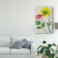 thumbnail image 3 of Trademark Fine Art 'Vintage Garden Varieties I' Canvas Art by Vision Studio, 3 of 4