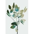 thumbnail image 2 of Prime, Marcus 23x32 White Modern Wood Framed Museum Art Print Titled - Blonde Eucalyptus 1, 2 of 4