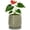 Olive, variant on D'vine Dev 5 Inch Embossed Leaves Stoneware Planter Pot with Drainage Hole and Saucer, Olive, 27-A-V-0