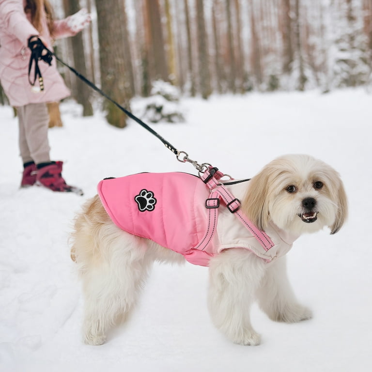 1pc Winter Pet Dog Jacket With Harness Zipper Gradient Dog