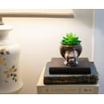 thumbnail image 5 of Bob Ross Mini Ceramic Planter with Artificial Succulent Plant, 5 of 7